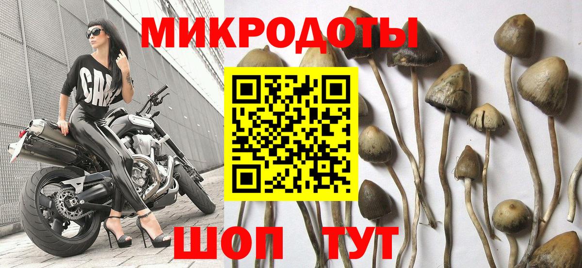 дарнет шоп  Галлюциногенные грибы Psilocybe  Вход с VPN  Галлюциногенные грибы GOLDEN TEACHER  Выкса 