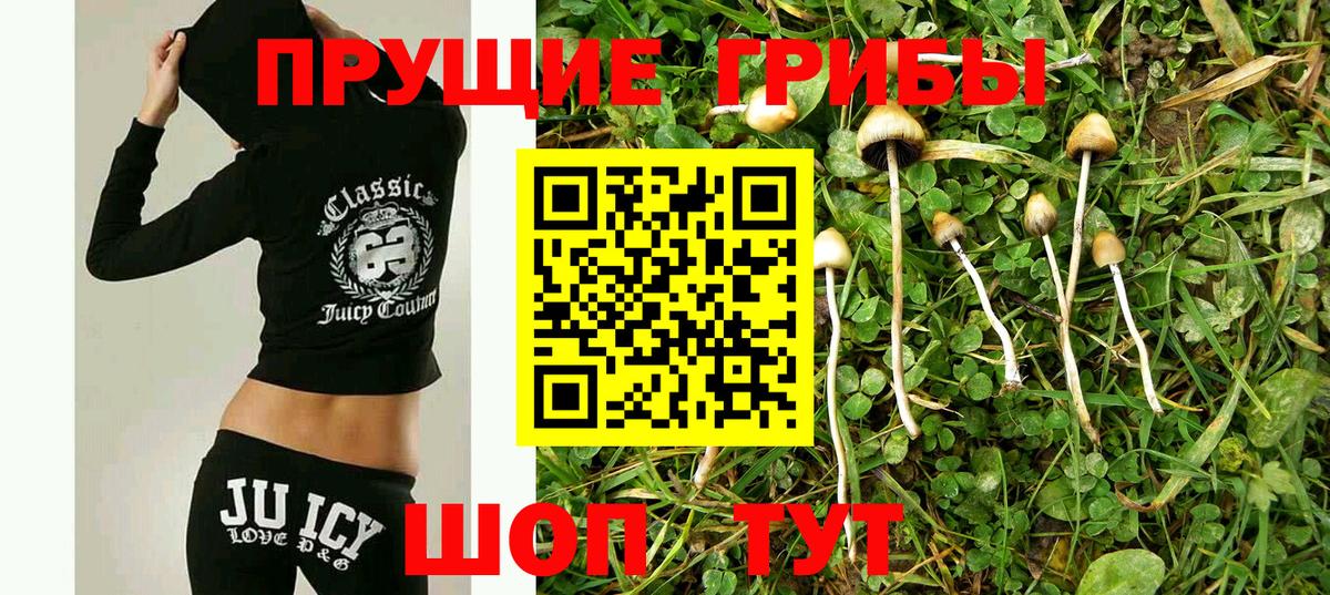 Галлюциногенные грибы Psilocybe Выкса